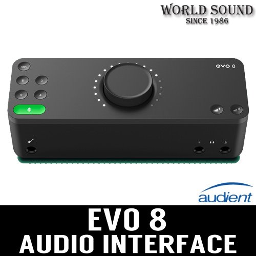 AUDIENT - EVO 8 오디오인터페이스 오인페