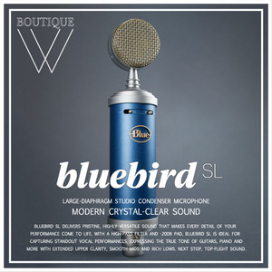 블루버드 마이크 BLUE MICROPHONE - BLUEBIRD SL 블루 마이크 [Blue Microphones 공식판매점]