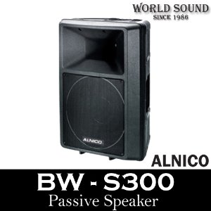 ALNICO - BW-S300 패시브스피커 300W